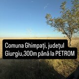 Ghimpati, jud. Giurgiu, 300 m pana la sens giratoriu, benzinaria Petrom