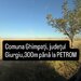 Ghimpati, jud. Giurgiu, 300 m pana la sens giratoriu, benzinaria Petrom,